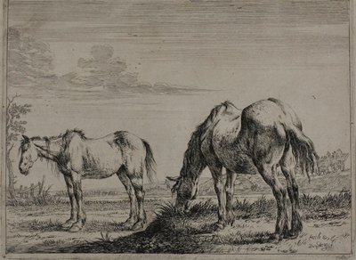 Cavalo pastando, prato três da Série de Cavalos de Dirck Stoop