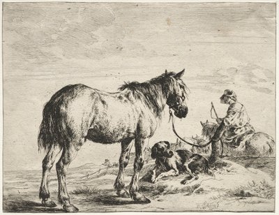 Cavalo preso a um poste. de Dirck Stoop