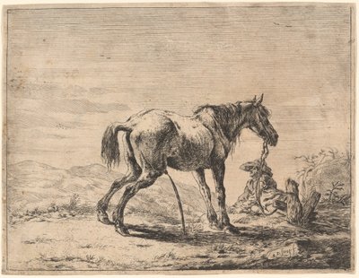 Criando cavalo perto de um estábulo de Dirck Stoop