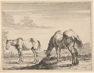 Dois cavalos pastando de Dirck Stoop