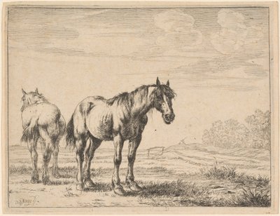 Dois cavalos de arado em pé em um campo de Dirck Stoop
