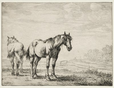 Dois cavalos de charrua. de Dirck Stoop