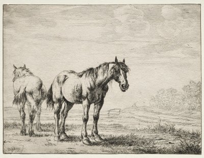 Dois cavalos de arado de Dirck Stoop