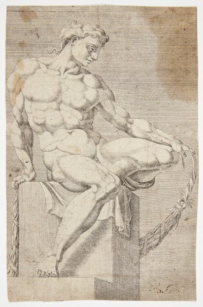 Nu da Capela Sistina de Dirck Volckertsz. Coornhert