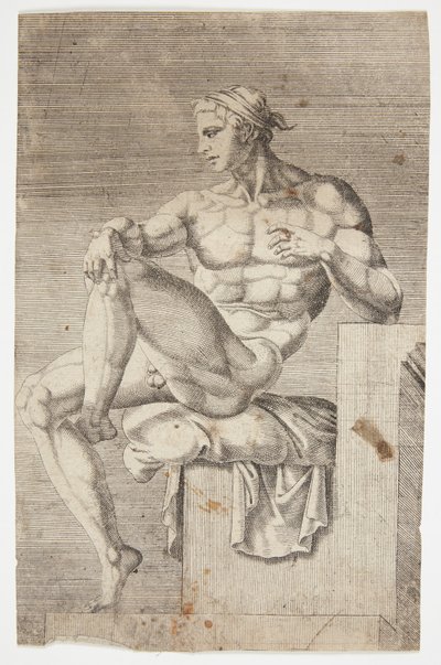 Nu da Capela Sistina de Dirck Volckertsz. Coornhert
