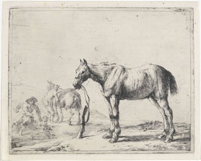 Cavalo amarrado a um poste à esquerda Cavalos (título da série) de Dirk Stoop