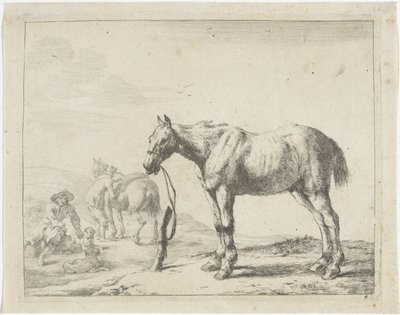 Cavalo amarrado a um poste virado para a esquerda
Cavalos (título da série) de Dirk Stoop