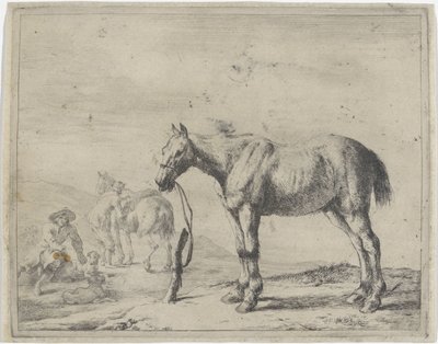 Cavalo amarrado a um poste à esquerda Cavalos (título da série) de Dirk Stoop