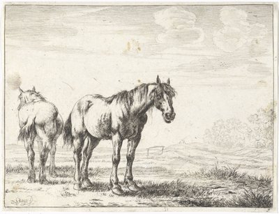 Dois cavalos numa paisagem
Cavalos (título da série) de Dirk Stoop