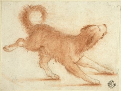 Cão a rosnar pronto a atacar de Dirk Valkenburg