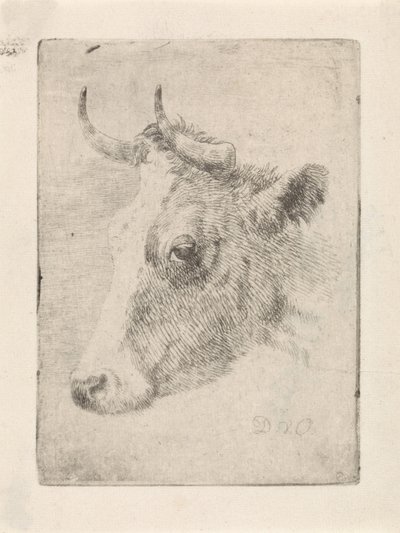 Cabeça de um touro de Dirk van Oosterhoudt