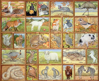 Animais Alfabéticos de Ditz