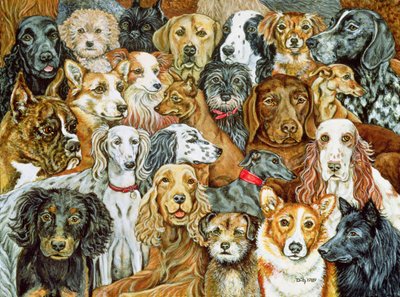 Dog Spread, 1989 de Ditz