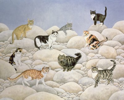 Gatos de Lynn Valley de Ditz