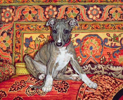 Meu bebê de Whippet, 1994 de Ditz