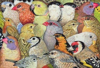 Patchwork-Birds, 1995 (acrílico no painel) de Ditz