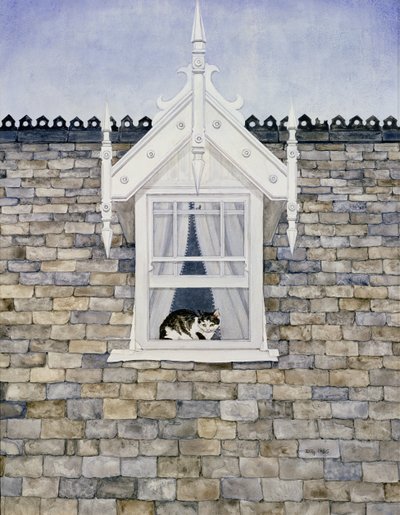 Gato de Dormer do St.Helier de Ditz