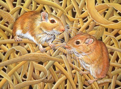 Os Gerbils, 1994 de Ditz