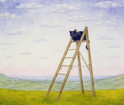 O gato da escada de Ditz