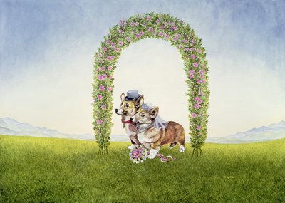 O casamento real de Ditz