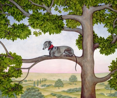 A árvore whippet de Ditz