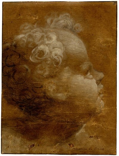 Beccafumi - Cabeça de uma criança olhando para cima, de perfil para a direita Pincelada a óleo cinzento-castanho e branco, sobre papel preparado castanho, com linhas recortadas, 1528 (circa) de Domenico Beccafumi