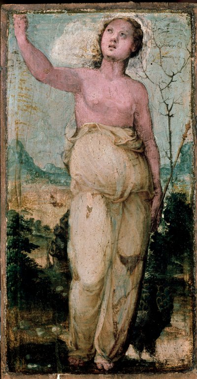 Figura feminina. Pintura de Domenico Beccafumi (1486-1551). Siena, Conservatorio de Domenico Beccafumi