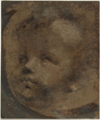 Cabeça de um putto de Domenico Beccafumi