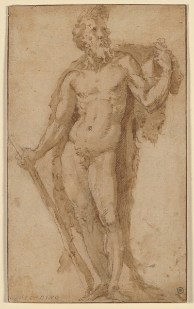 Hércules, de pé com uma clava de Domenico Beccafumi
