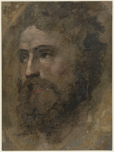 Cabeça do homem com cabelo encaracolado, para a esquerda de Domenico Beccafumi