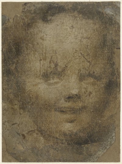 Cabeça da criança de Domenico Beccafumi