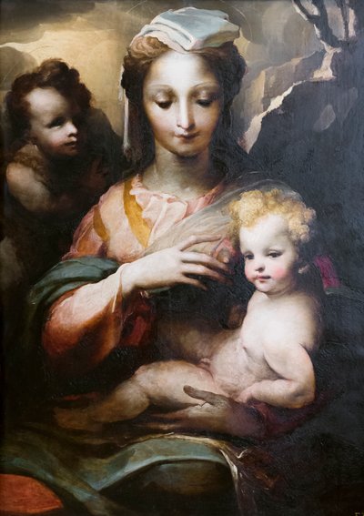 Madonna e Criança com um jovem santo João Baptista de Domenico Beccafumi