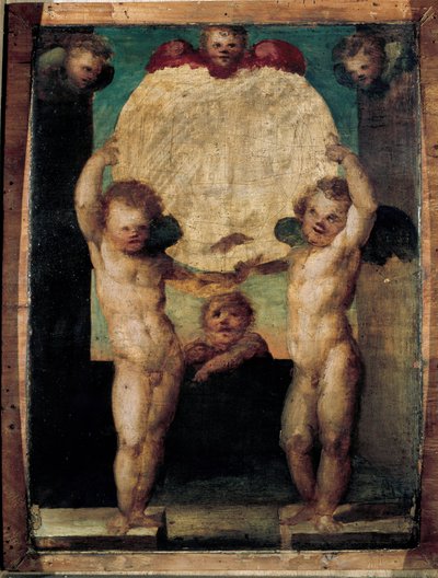 Putti reggimedaglione (Anjos carregando um medalhão acima de suas cabeças). Pintura de Domenico Beccafumi (1486-1551) de Domenico Beccafumi