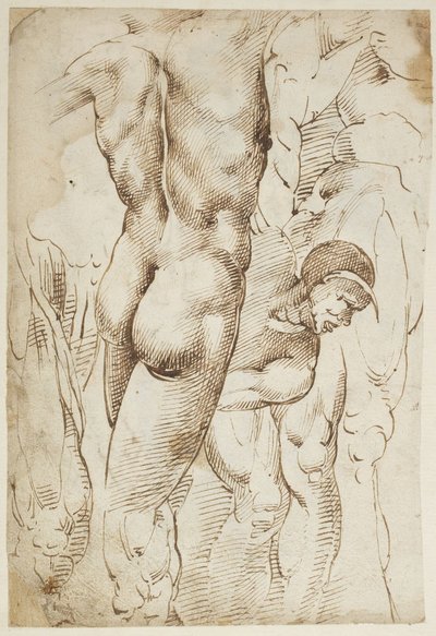 Estudos de pernas e nus masculinos de Domenico Beccafumi