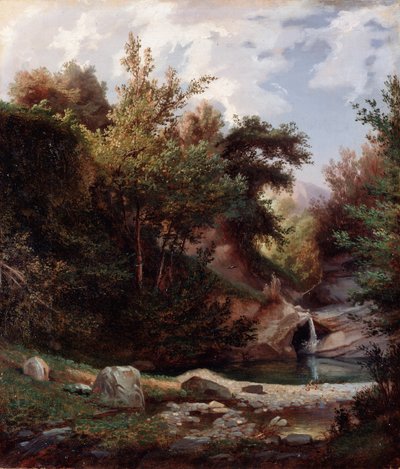 Paisagem da natureza, mato e riacho com cascata Pintura por Domenico Cambiaso (1811-1894) cerca de 1865 Dim 43,5x37 cm Genes, Galleria d
