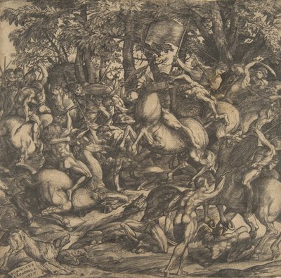 Floresta. de Domenico Campagnola