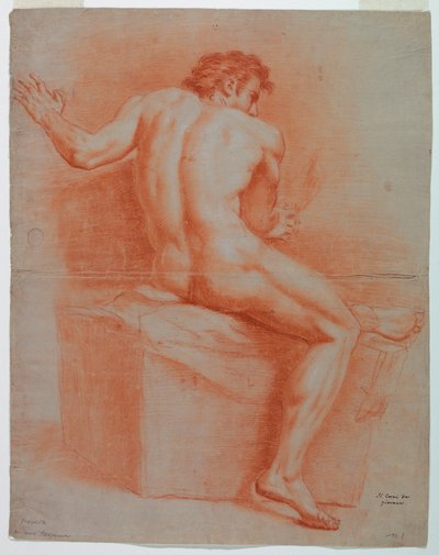 Nu de Domenico Corvi