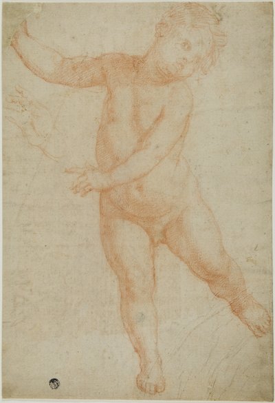 Putto apoiado na perna direita (anverso); esboço de um braço drapeado (verso) de Domenico Cresti