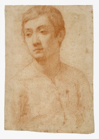 O Chefe de uma Juventude, c.1600-25 (giz vermelho sobre papel) de Domenico Cresti