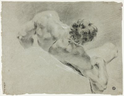 Nu masculino visto de costas de Domenico Maggiotto