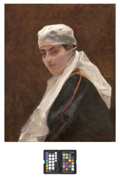 Odalisque, 1870-73 de Domenico Morelli