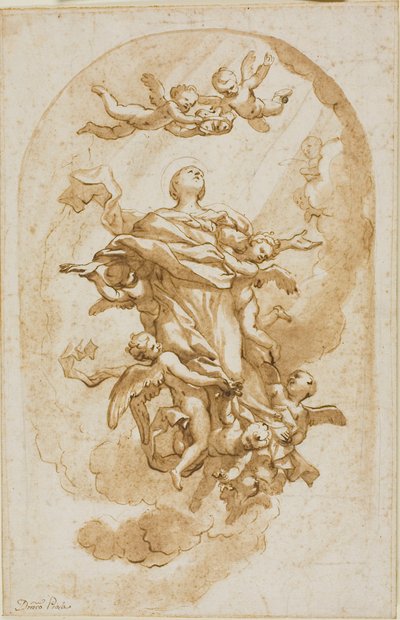 Assunção da Virgem de Domenico Piola