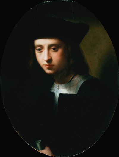 Retrato de um jovem (óleo) de Domenico Puligo