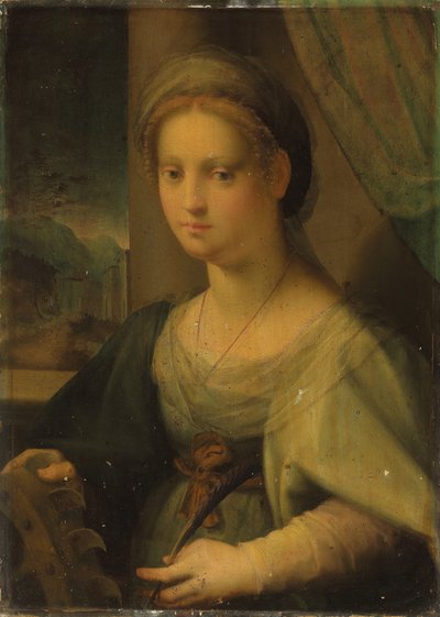Retrato de uma senhora como Santa Catarina de Alexandria (óleo no painel) de Domenico Puligo