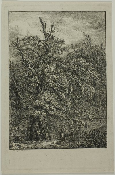 Grande árvore de Domenico Quaglio