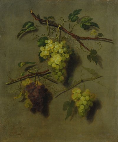 Ainda vida, 1738 de Dominicus Van der Smissen