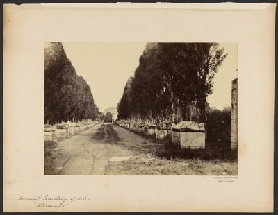 [Cemitério antigo de Arles, "Alyscamps"] de Dominique Roman