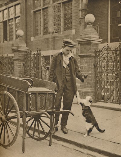 Um dos negócios mais bem estabelecidos: um cliente e o homem da carne de gato, c1935. de Donald McLeish