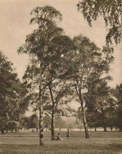 O trabalho de renda das folhas: uma manhã de verão no Hyde Park, c1935. de Donald McLeish