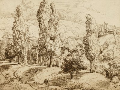 Campos de Asolo de Donald Shaw MacLaughlan